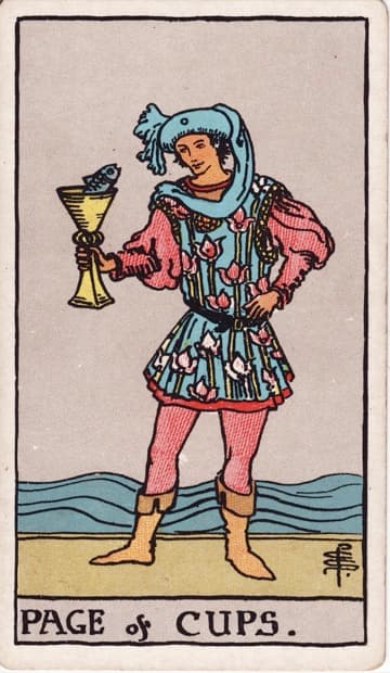 Page of Cups — Tiểu Đồng Cốc