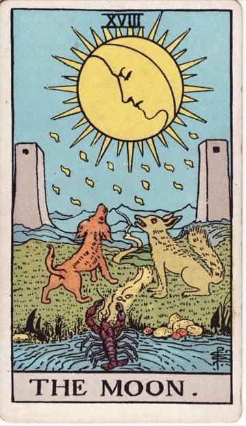 The Moon — Mặt Trăng