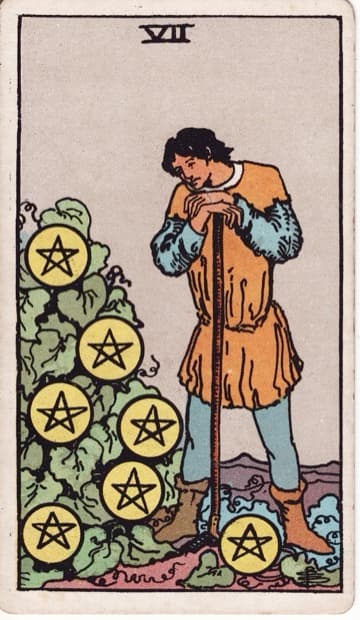 Seven of Pentacles — Bảy Tiền