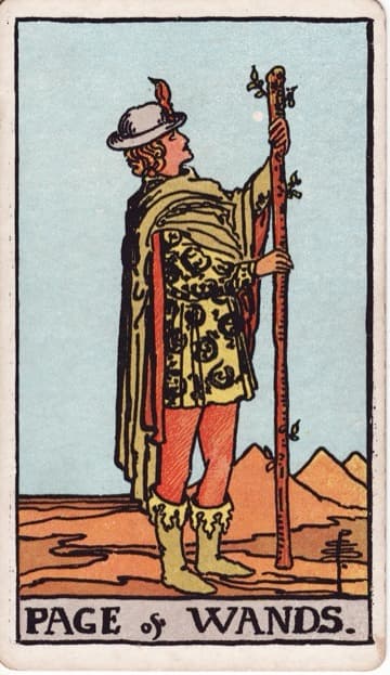 Page of Wands — Tiểu Đồng Gậy
